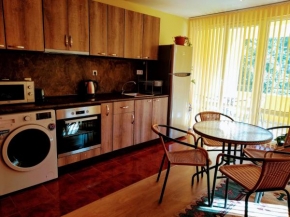 Yellow House Apartment